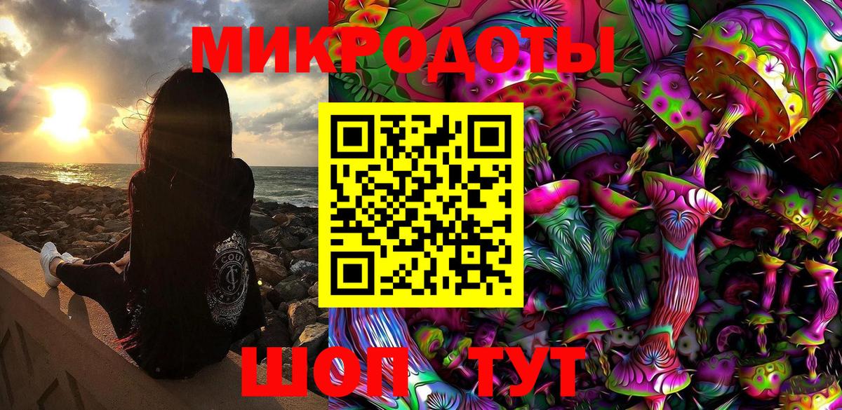 Псилоцибиновые грибы Cubensis Хасавюрт