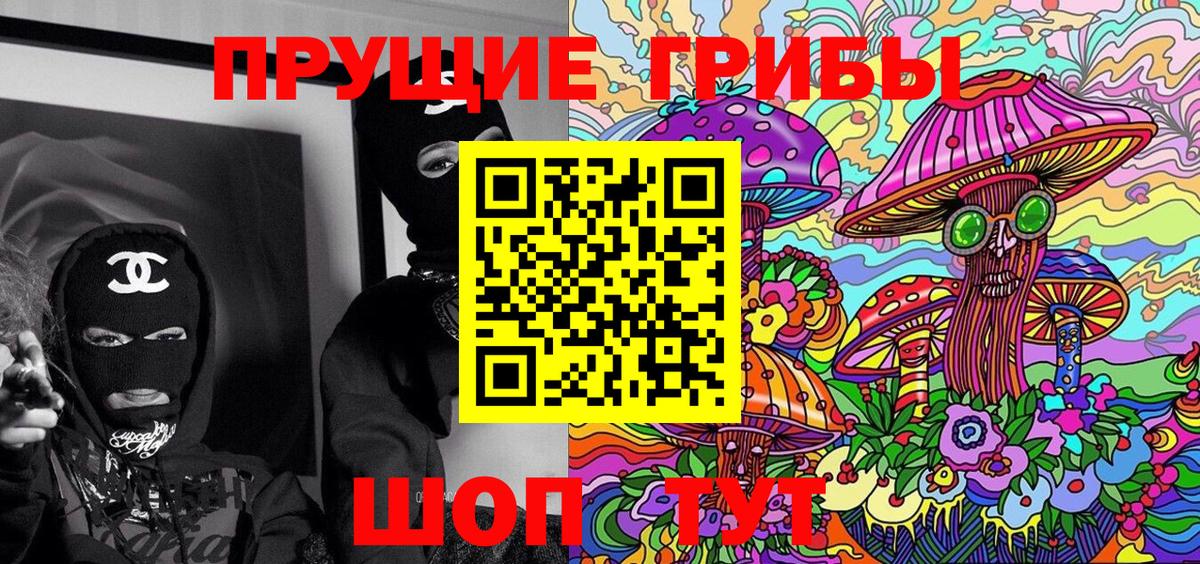 Псилоцибиновые грибы GOLDEN TEACHER  Вход с VPN  Хасавюрт 